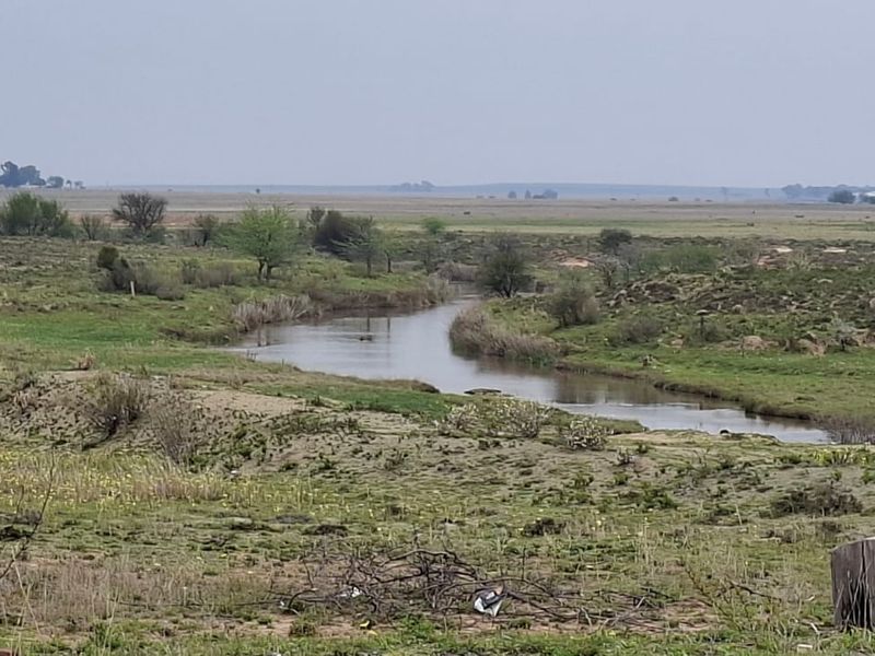 A scenic view of the farm landscape featuring a natural stream winding through open pasture land.