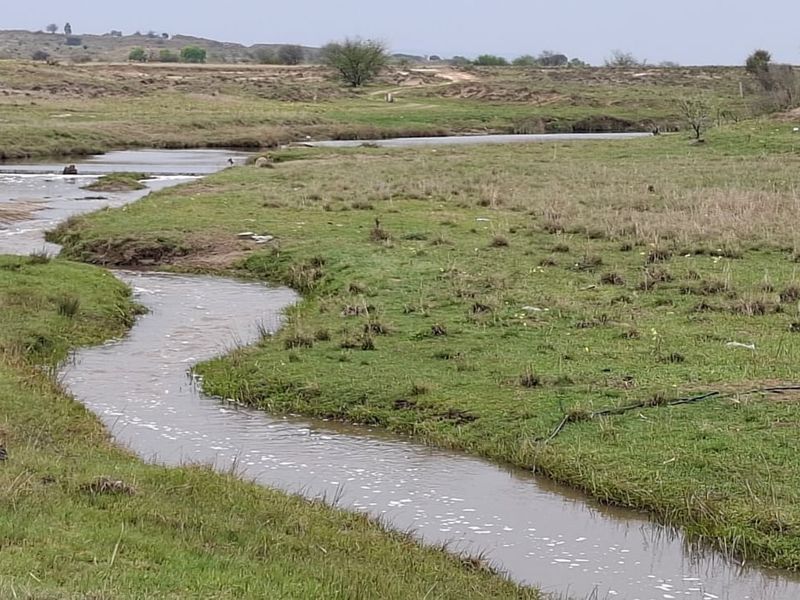 A scenic view of a natural stream winding through open pasture land on the farm property.