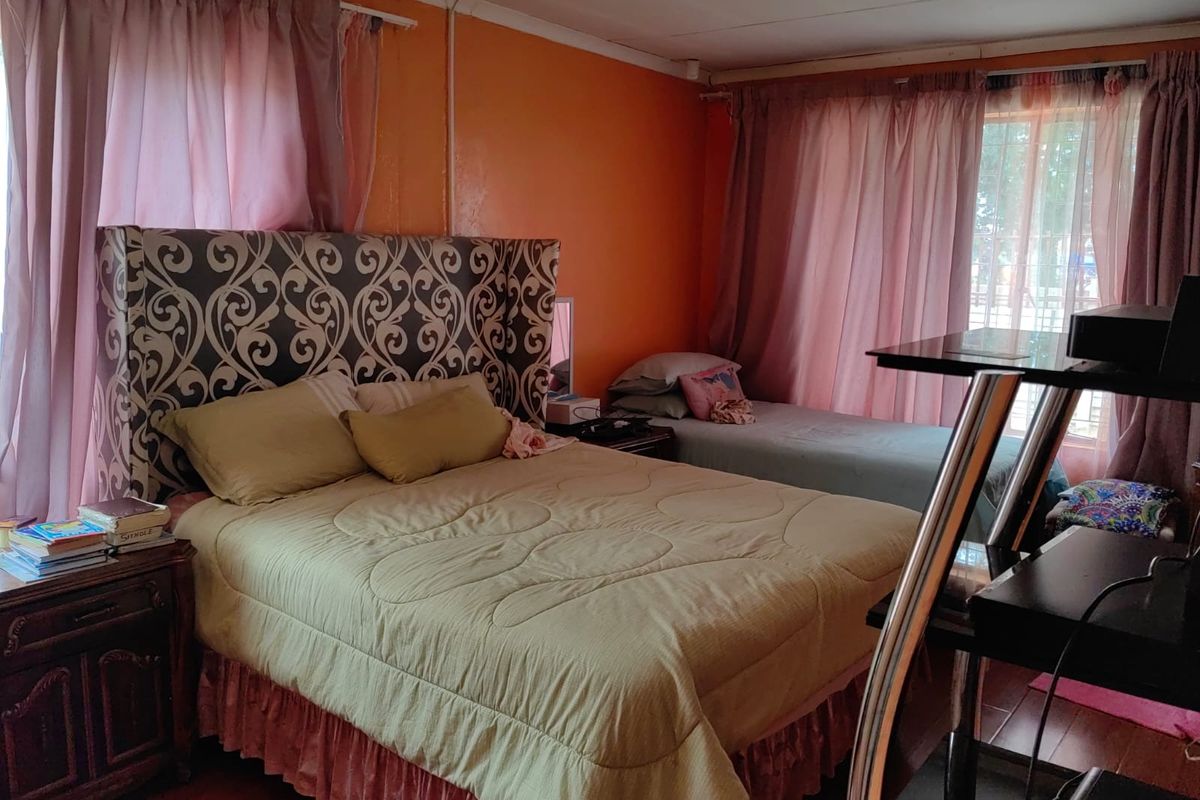 A bedroom featuring orange walls, large windows with curtains, and wood-look flooring.