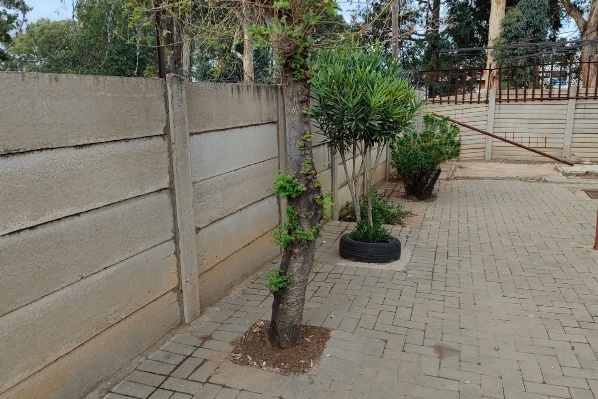 3 BEDROOM HOUSE FOR SALE IN EHRLICH PARK - Photo 3