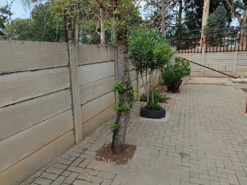 3 BEDROOM HOUSE FOR SALE IN EHRLICH PARK - Photo 3