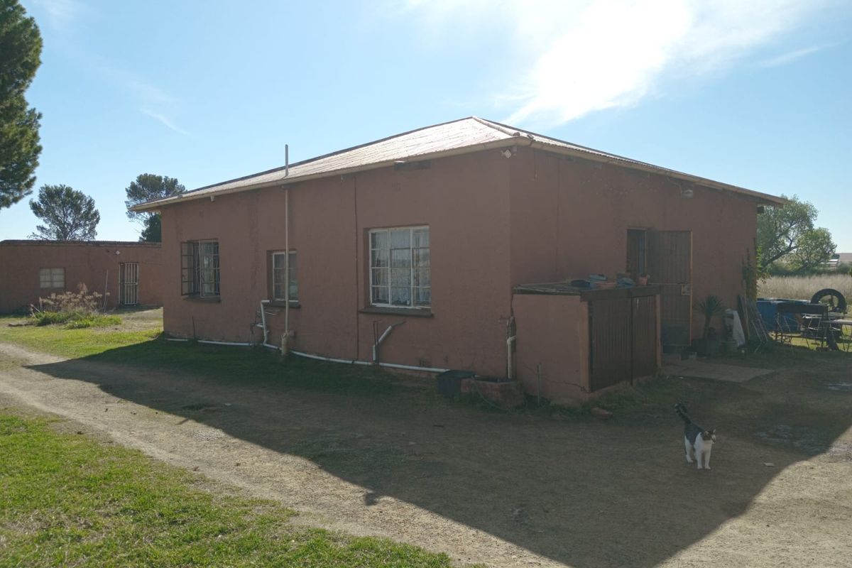 Exterior view of a small holding dwelling featuring a simple structure with metal roofing and metal-framed windows set on a rural plot.
