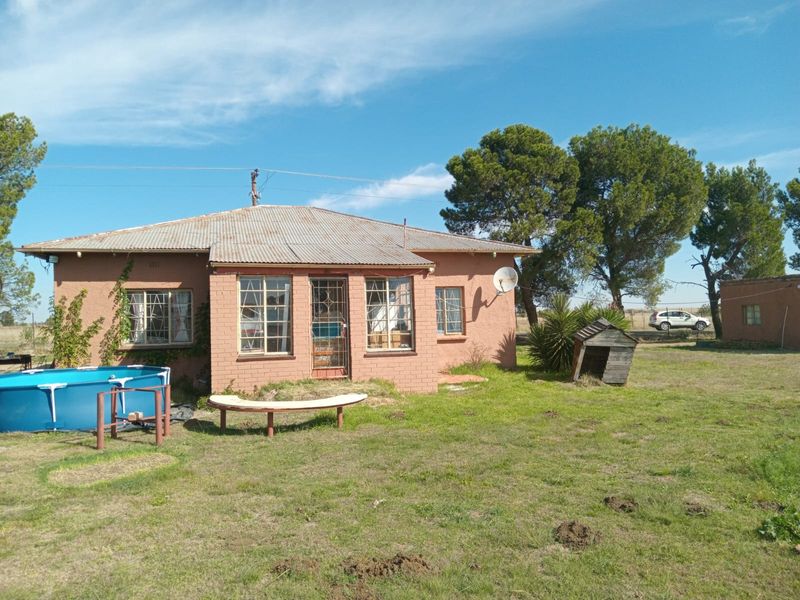 Rear view of a single-story brick farmhouse featuring a corrugated metal roof, security gates, and expansive surrounding grounds.