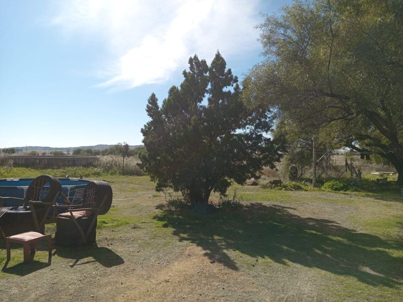 A view of the expansive garden area on the small holding, featuring mature trees and an above-ground pool structure.