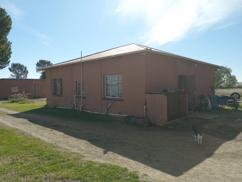 Exterior view of a small holding dwelling featuring a simple structure with metal roofing and metal-framed windows set on a rural plot.