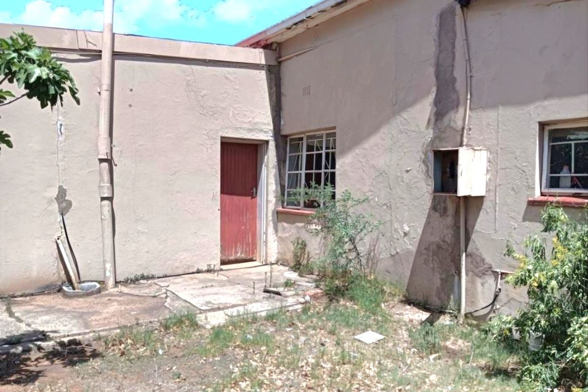 Rear exterior view of the property showing weathered plaster walls, a single door, steel-framed windows, and an unmaintained garden area.