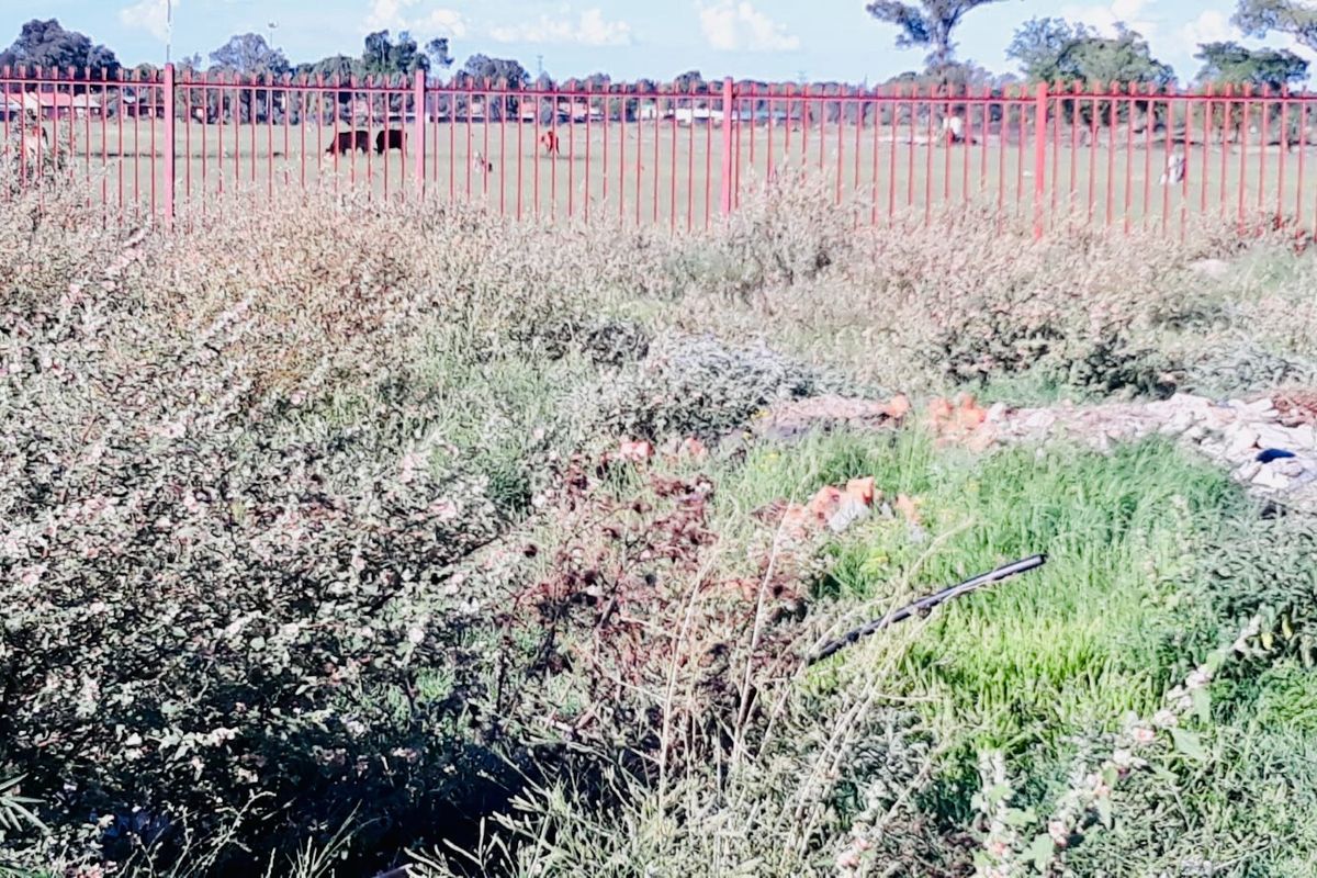 A view of a vacant residential plot featuring overgrown vegetation and a metal perimeter fence.