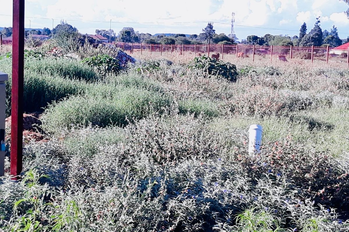 A vacant residential plot featuring overgrown vegetation, perimeter fencing, and visible utility connections including an electrical box and plumbing standpipe.