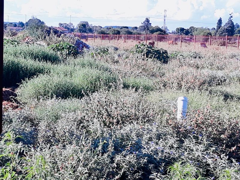 A vacant residential plot featuring overgrown vegetation, perimeter fencing, and visible utility connections including an electrical box and plumbing standpipe.