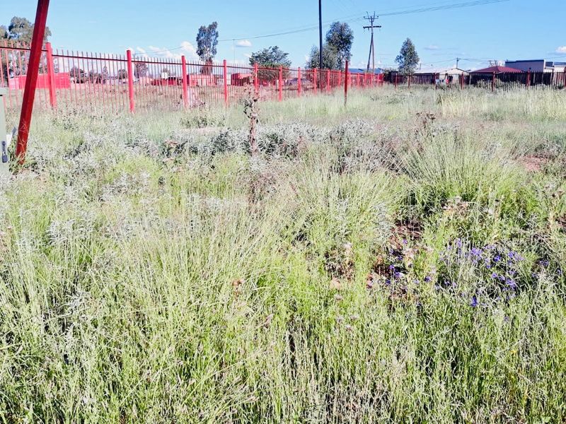 A vacant residential plot featuring overgrown grass, a metal perimeter fence, and an electrical utility box on site.