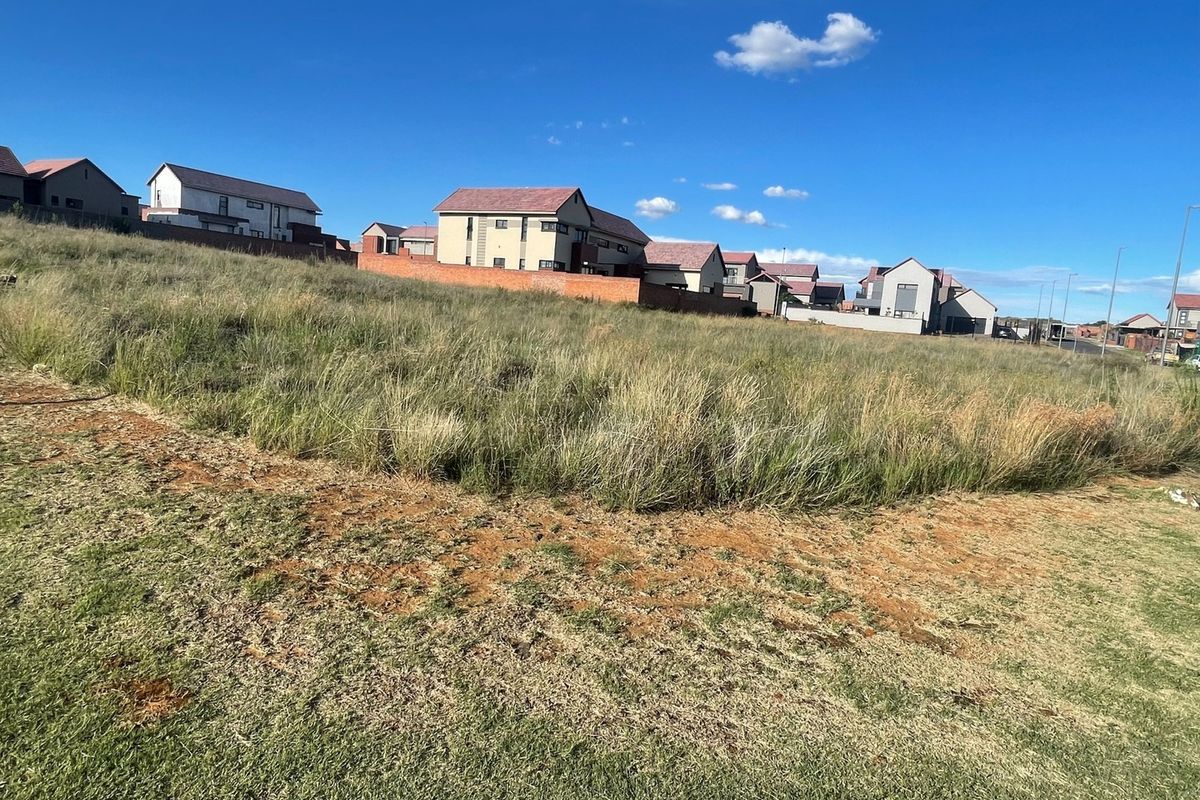 Vacant Land Corner Stand Wild Olive Estate - Photo 2