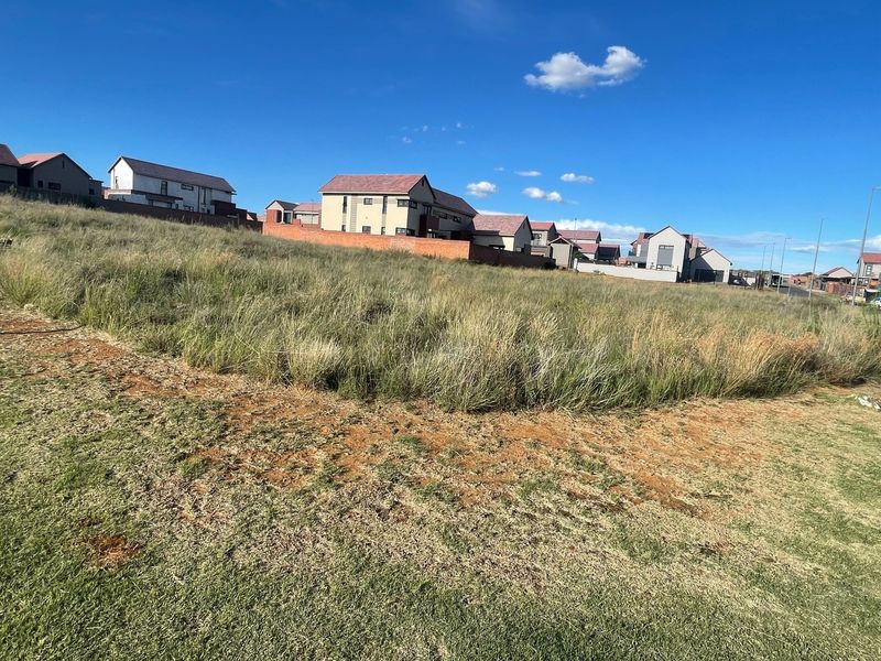 Vacant Land Corner Stand Wild Olive Estate - Photo 2