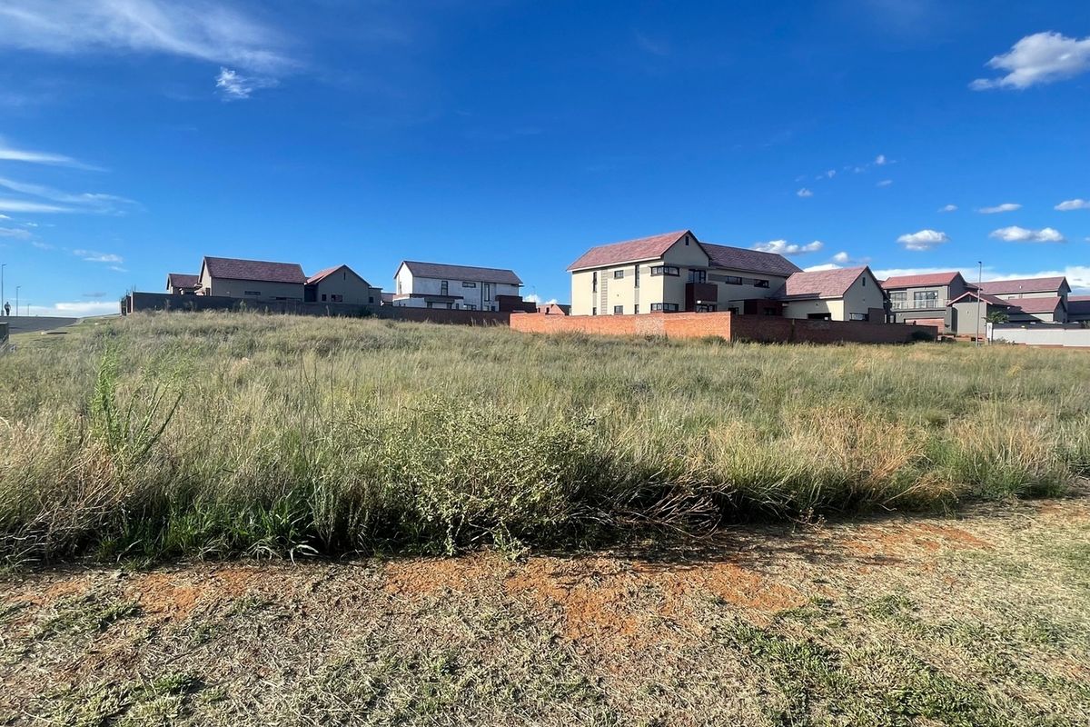 Vacant Land Corner Stand Wild Olive Estate - Photo 3