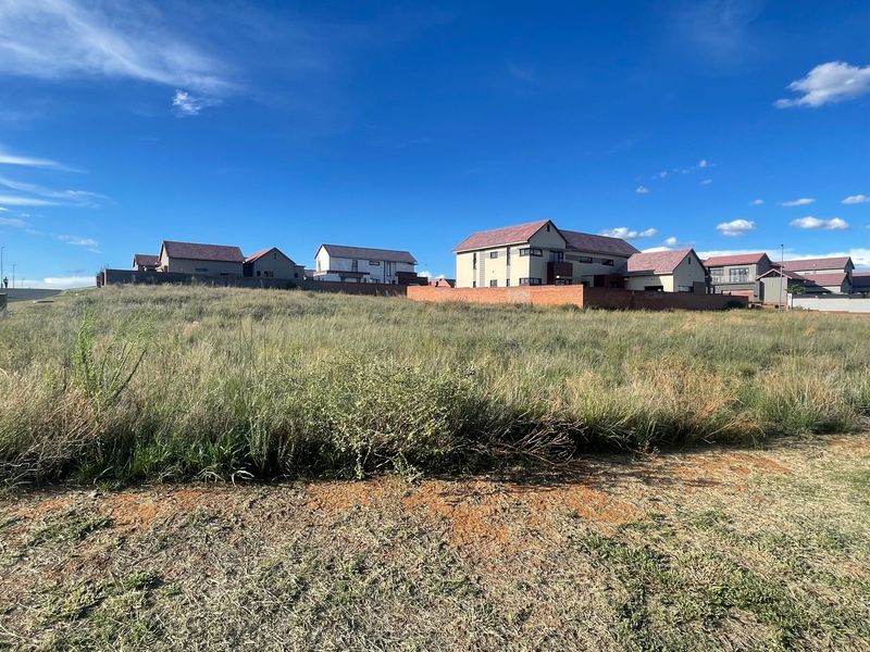 Vacant Land Corner Stand Wild Olive Estate - Photo 3