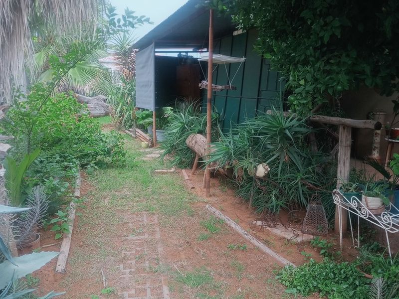 A rustic garden area featuring a covered outdoor structure with timber supports and a paved pathway surrounded by established greenery.