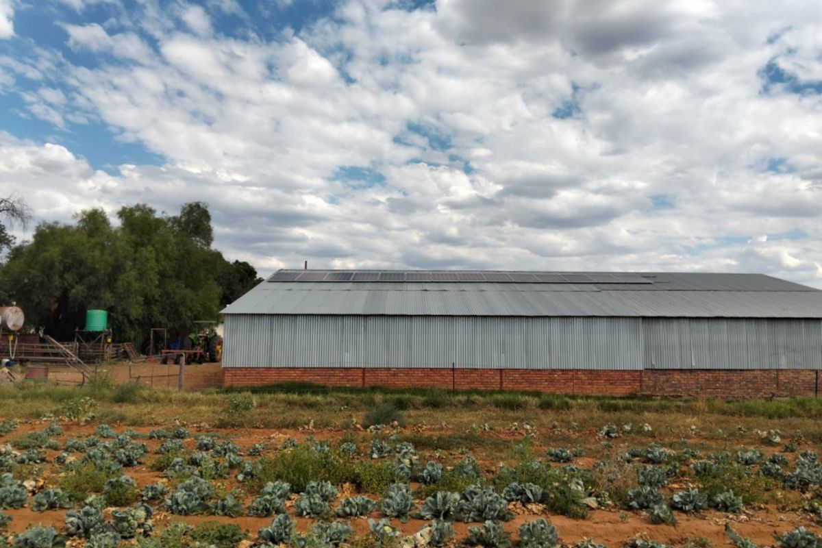 A view of a farm outbuilding featuring a corrugated metal roof with installed solar panels and a brick foundation, set against a cultivated field.