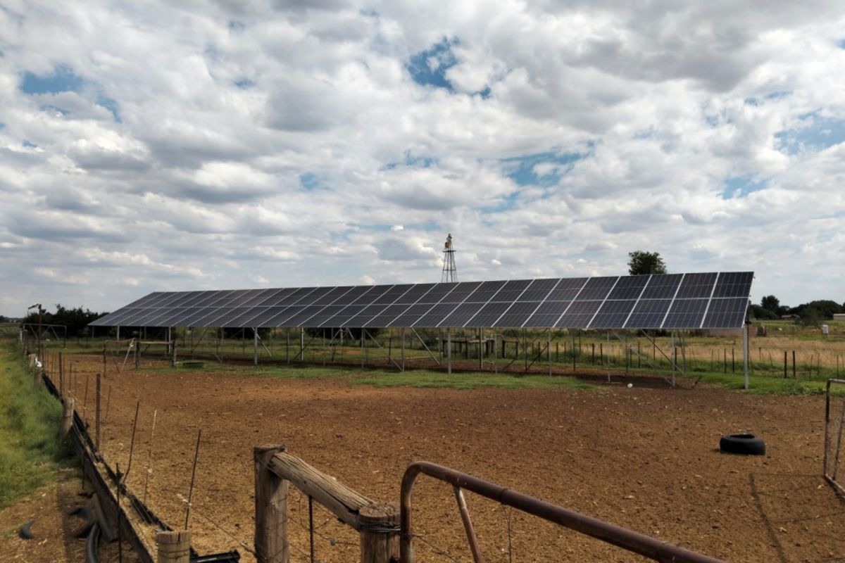 A large ground-mounted solar panel array installed in an open farm paddock, featuring a traditional windmill in the background.