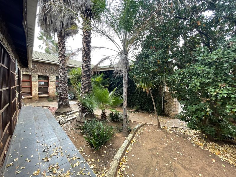 A rear garden area featuring a tiled patio, paved pathways, and established palm trees adjacent to the brick-clad exterior of the house.