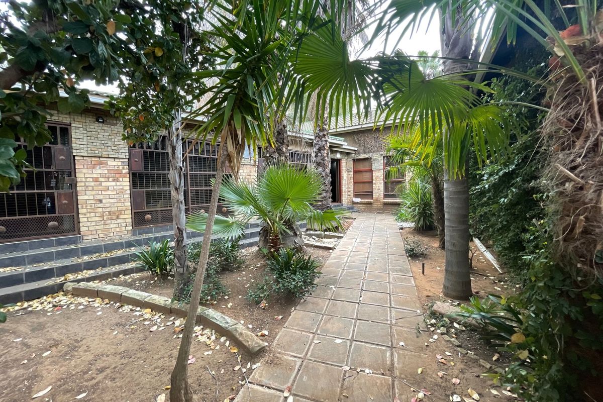 A rear garden area featuring a paved walkway leading towards the house, with established palm trees and brick exterior walls.