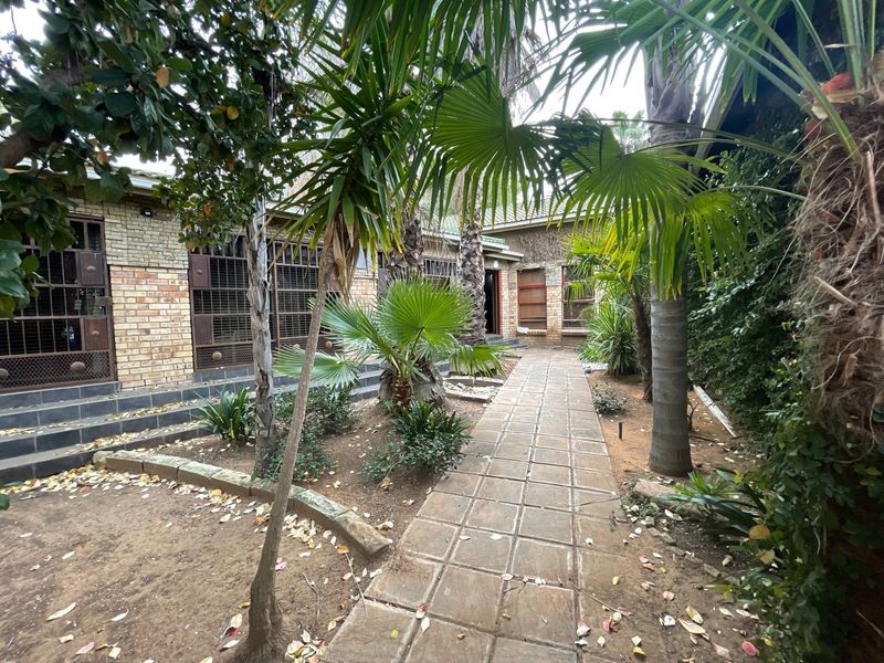 A rear garden area featuring a paved walkway leading towards the house, with established palm trees and brick exterior walls.