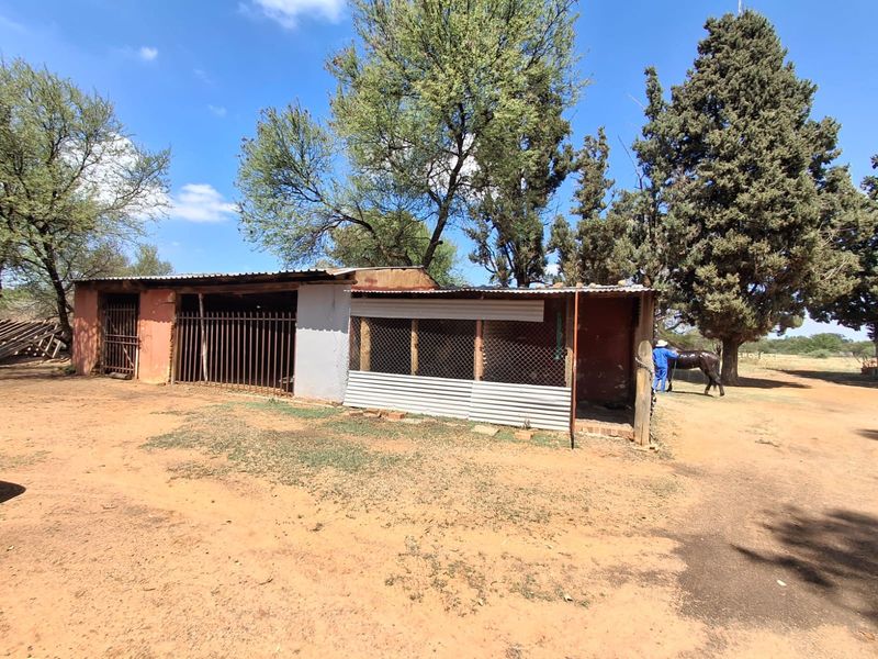 An outdoor utility structure on a small holding featuring corrugated iron roofing, metal security gates, and wire mesh enclosures.