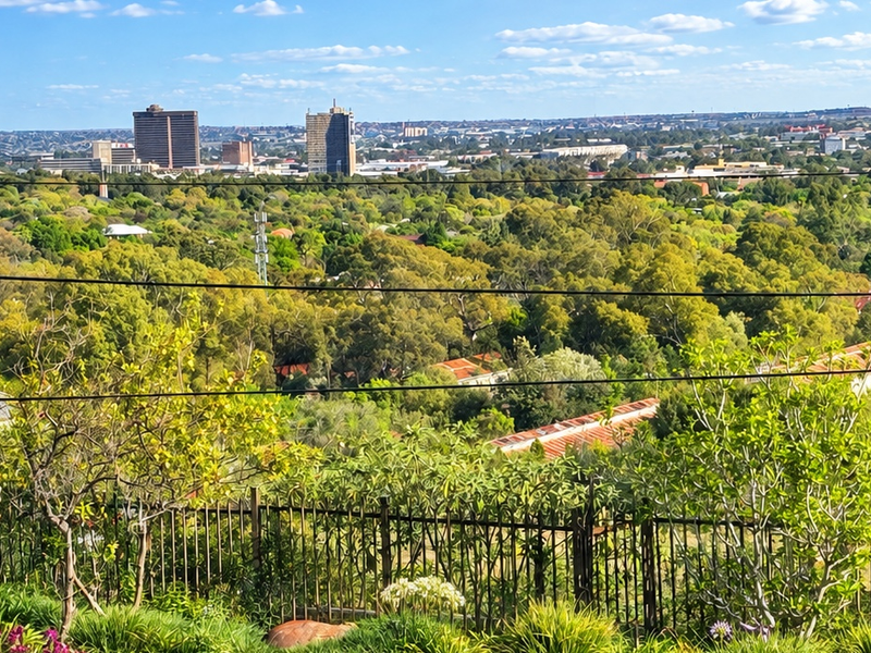 An elevated panoramic view overlooking a lush green canopy and the distant city skyline.