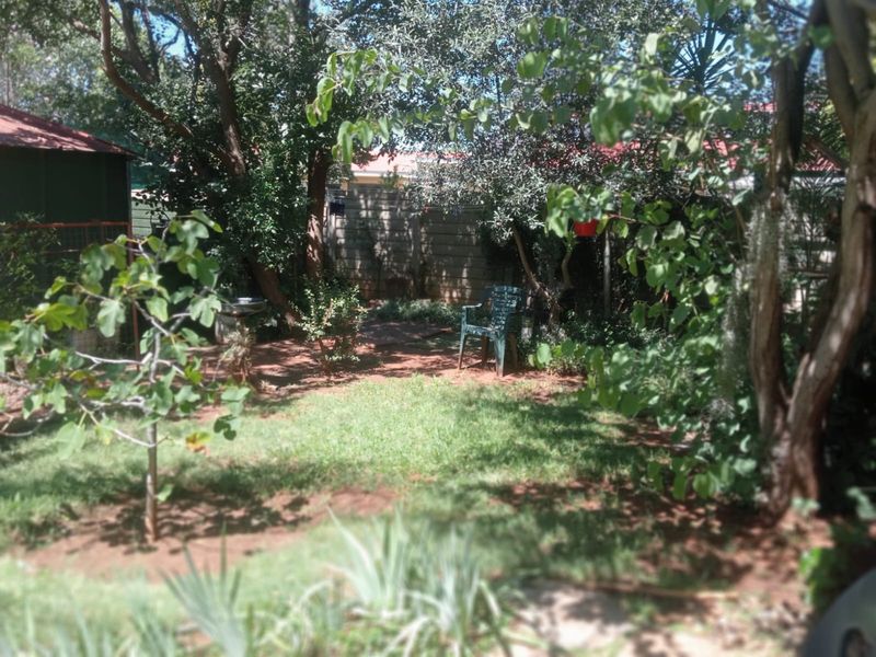 A private backyard garden featuring mature trees, established lawn, and perimeter precast concrete walling.