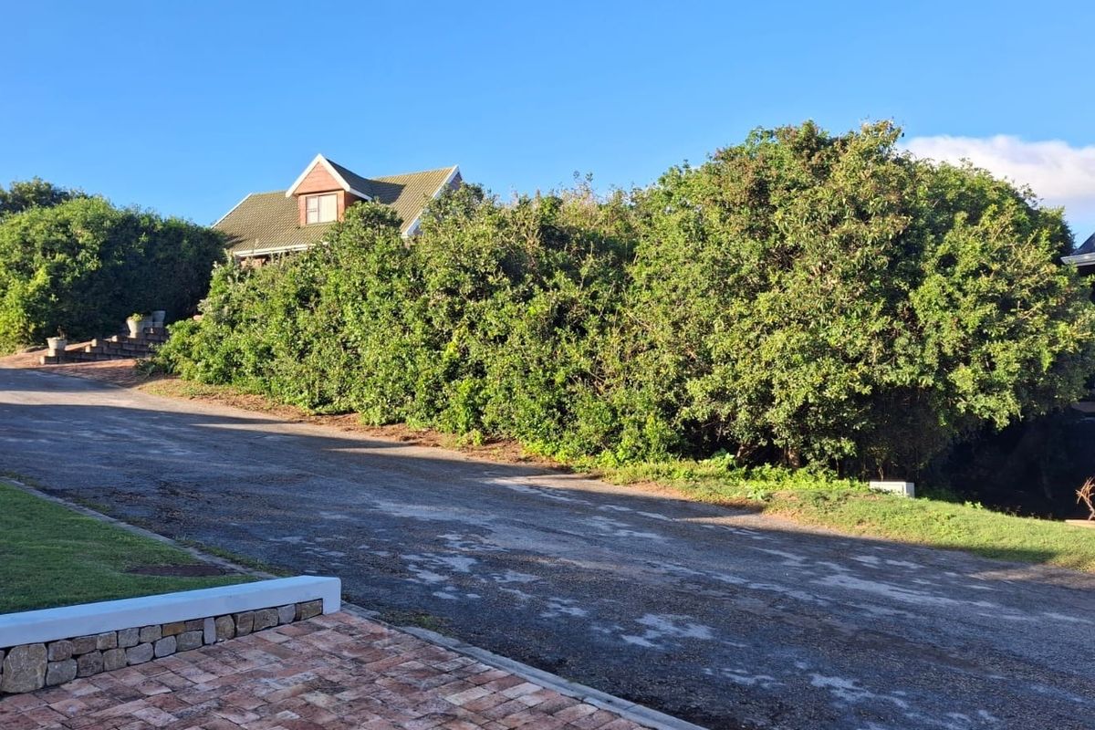 A view of the street approach featuring a paved driveway, stone retaining wall, and established greenery surrounding the residential property.