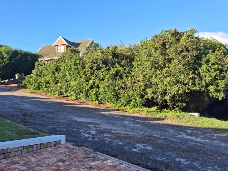 A view of the street approach featuring a paved driveway, stone retaining wall, and established greenery surrounding the residential property.