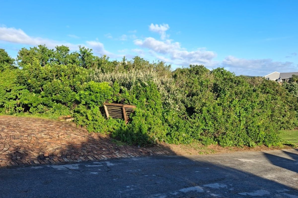 A view of a residential garden area featuring a paved driveway and established shrubbery.