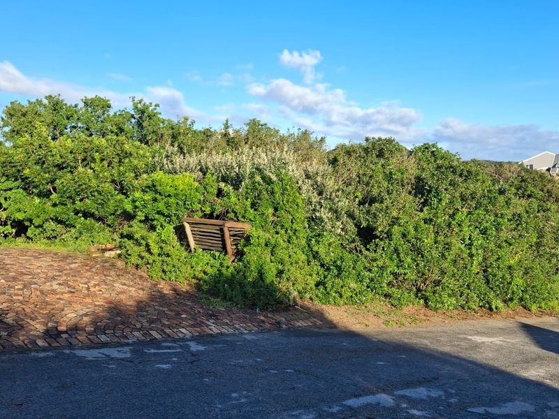 A view of a residential garden area featuring a paved driveway and established shrubbery.