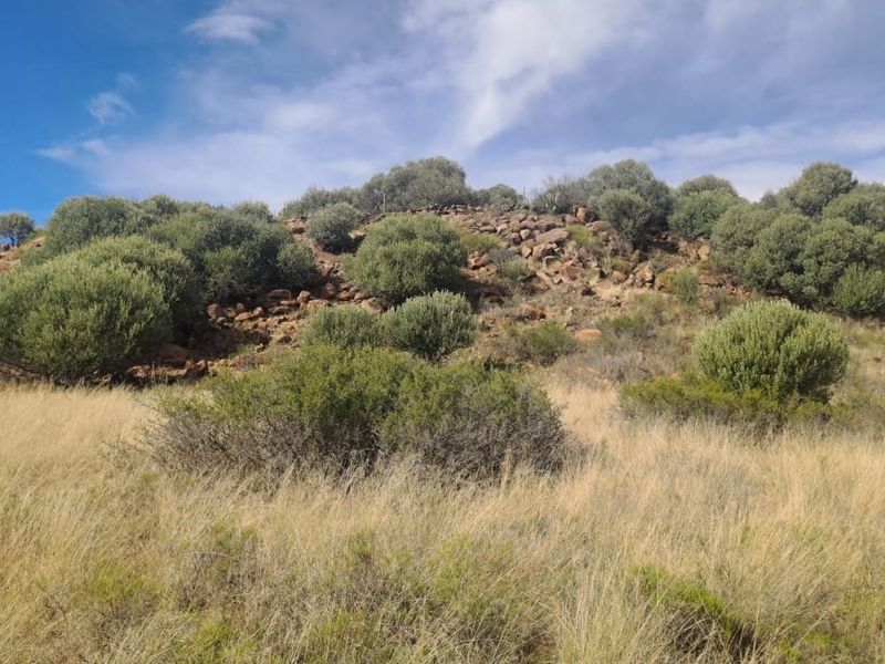 A scenic view of the farm's natural landscape, featuring a rocky hillside covered with indigenous shrubs and dry grassland.