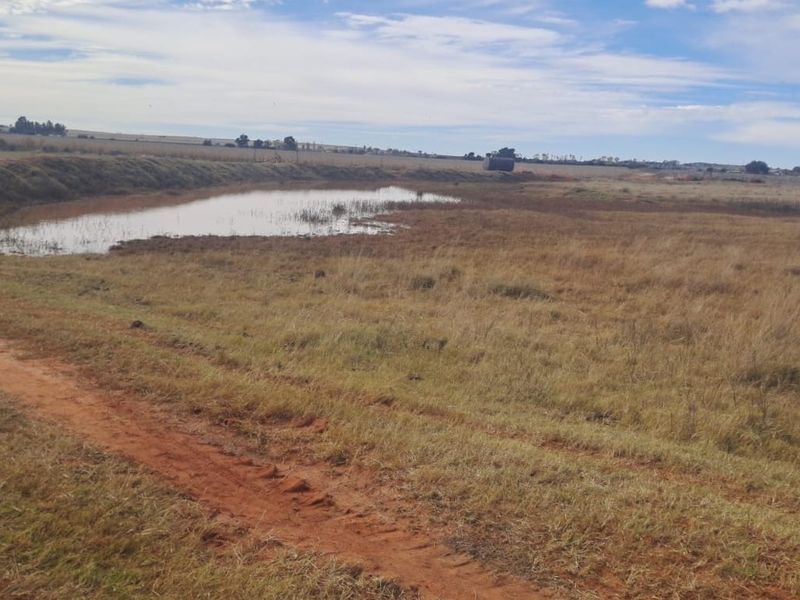 A wide-angle view of the farm property featuring open grazing land, a natural dam, and an access dirt track.