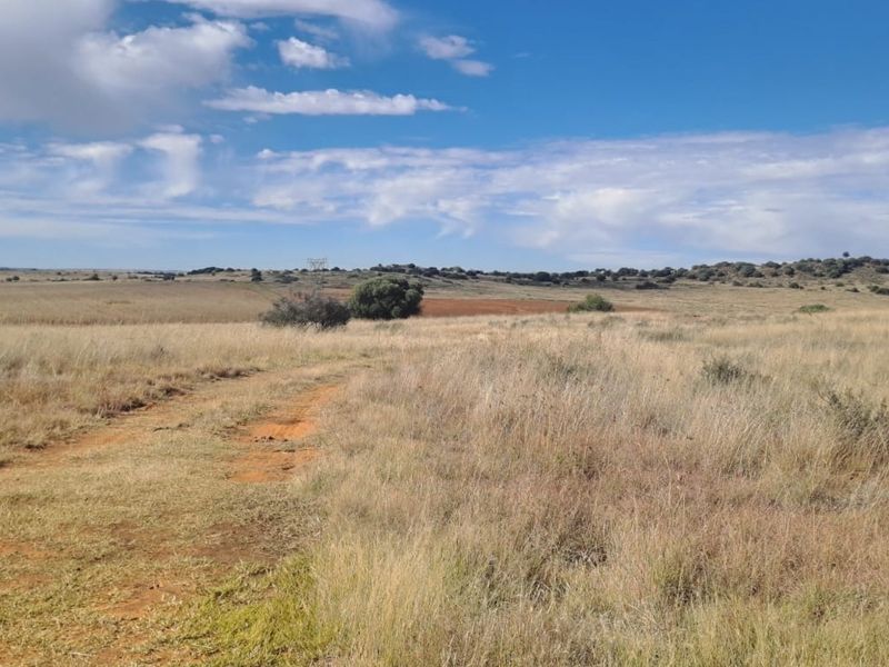 Expansive view of open farm land featuring natural dry grass fields and a dirt access track under a clear blue sky.