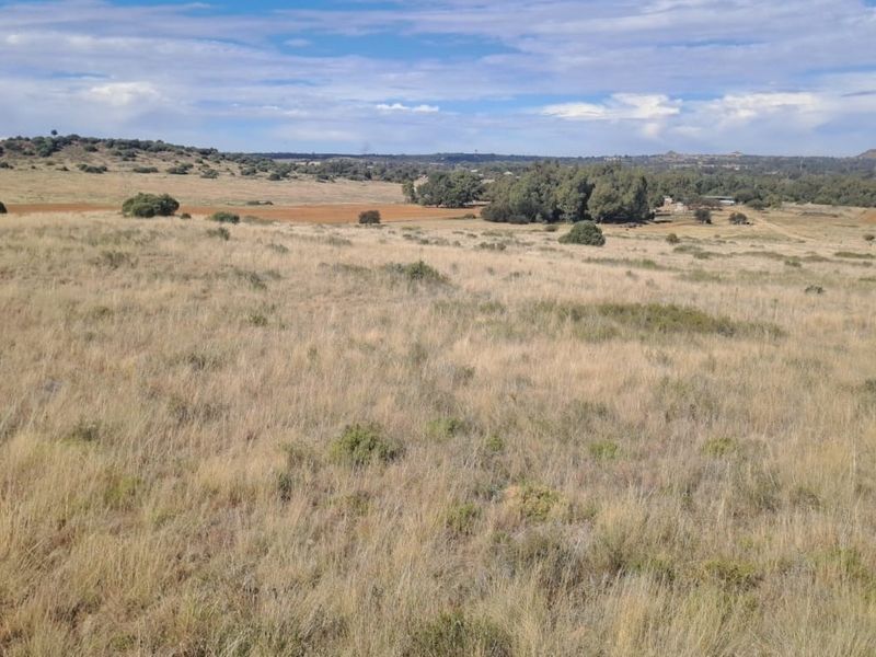 Expansive view of the open farm landscape featuring rolling grasslands and distant trees under a clear sky.