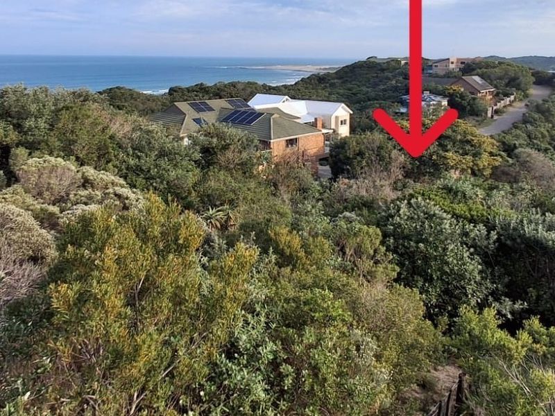 An aerial view of a coastal residential plot surrounded by dense indigenous vegetation with ocean views in the background.