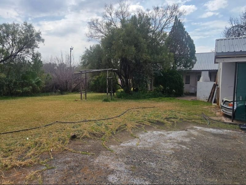 A view of the rear garden area featuring a lawn, mature trees, a pergola structure, and a portion of the building with a metal roof.