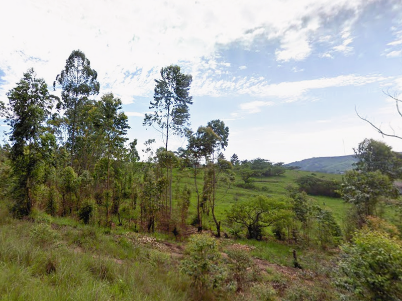 A view of a vacant residential plot featuring natural grassland and mature trees, suitable for future development.