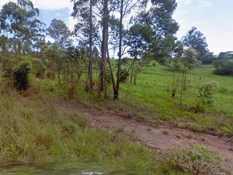 A view of a vacant residential plot featuring natural grassland, mature trees, and an unpaved access path.