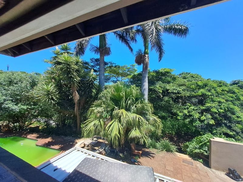 An elevated view overlooking a private garden, paved patio area, and swimming pool surrounded by mature palm trees and lush greenery.