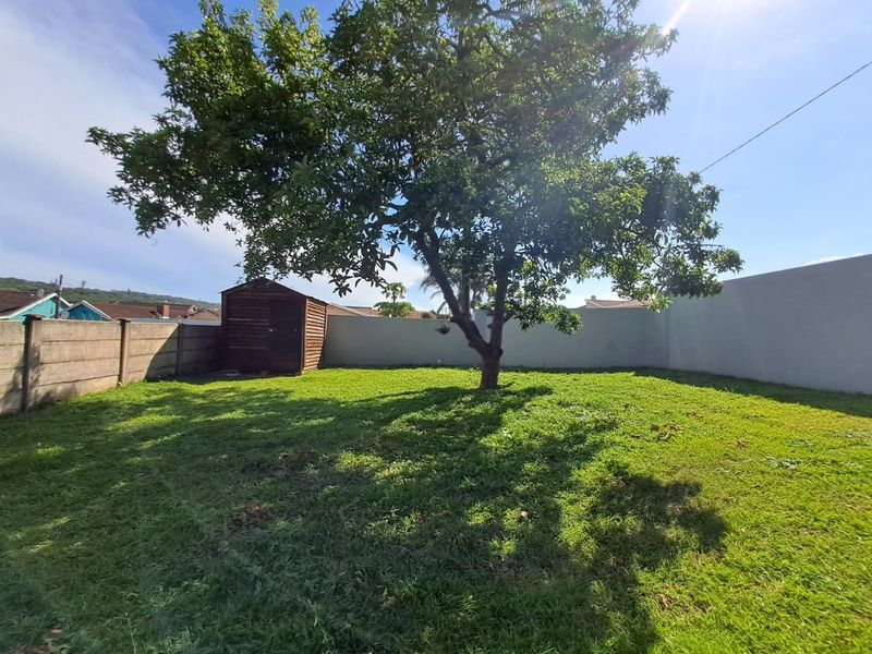 A spacious backyard featuring a large mature tree, a wooden garden shed, and enclosed by precast concrete boundary walls.