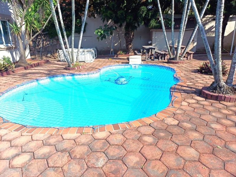 Outdoor pool area featuring a swimming pool with a safety net, surrounded by hexagonal brick paving and mature trees.
