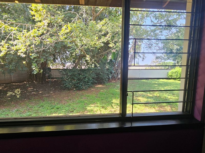 A view from an interior room looking out onto a private garden area through a large window with security bars.