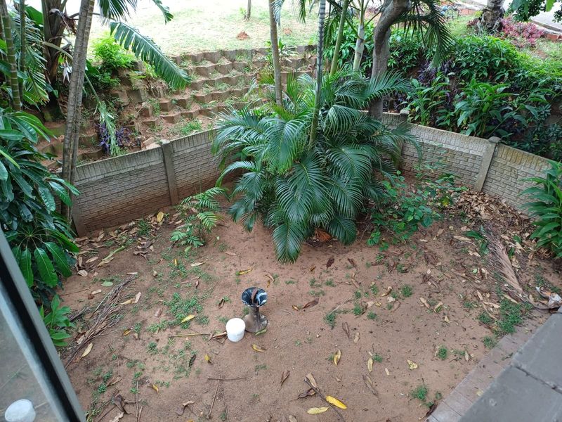 A private garden area featuring a retaining wall and established palm trees, currently requiring landscaping and ground cover maintenance.