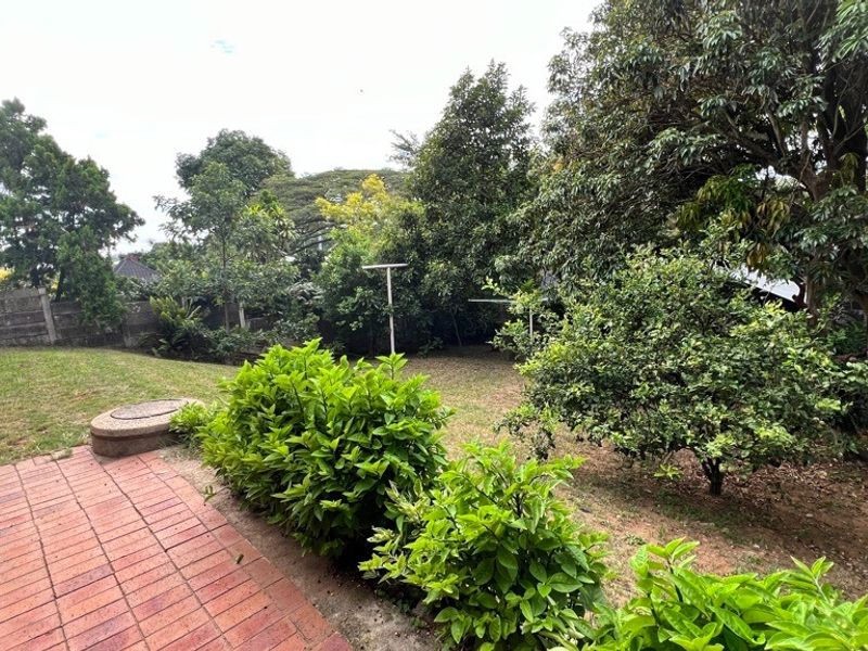 A rear garden area featuring brick paving, a concrete boundary wall, and established trees and shrubs.