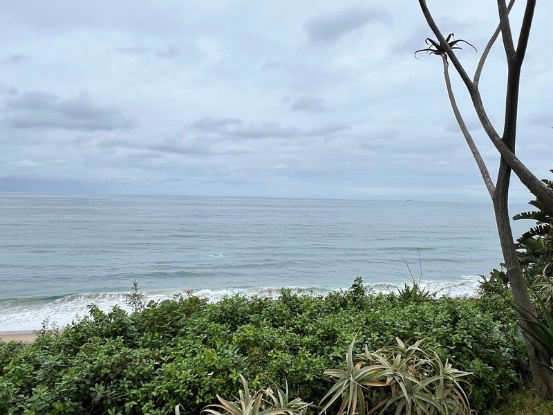 A scenic view of the ocean and coastline, framed by coastal vegetation.