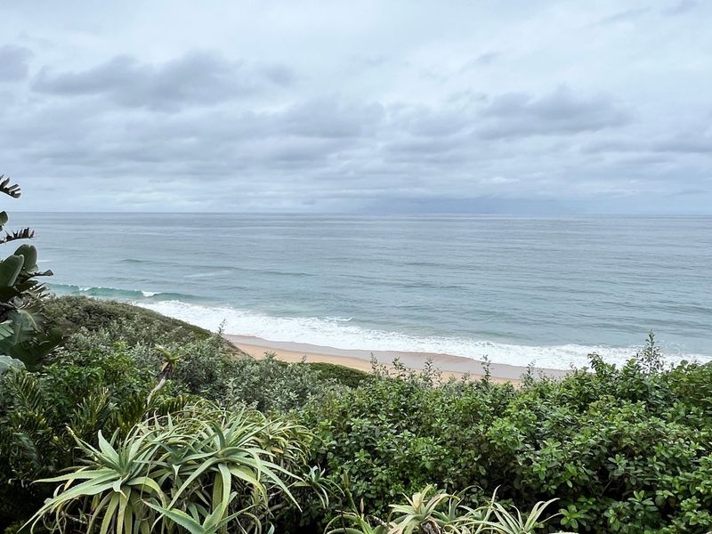 A scenic elevated view overlooking the coastline, sandy beach, and ocean, framed by coastal vegetation.
