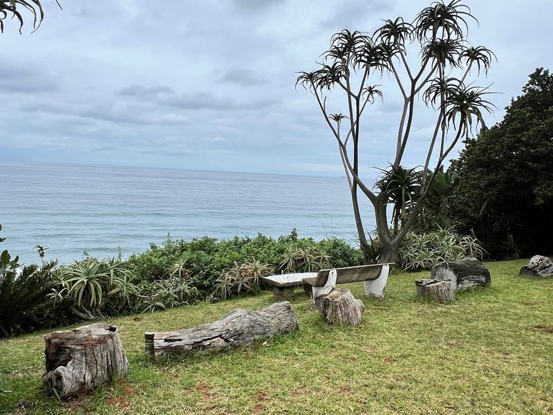 A scenic outdoor garden area featuring established coastal vegetation and expansive ocean views.