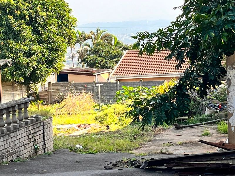 A view of the rear yard area featuring a concrete boundary wall, tiled roof structure, and overgrown garden space requiring maintenance.