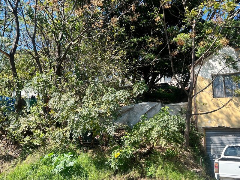 Front view of a property featuring a garage and exterior wall, showing significant signs of wear and overgrown surrounding vegetation.